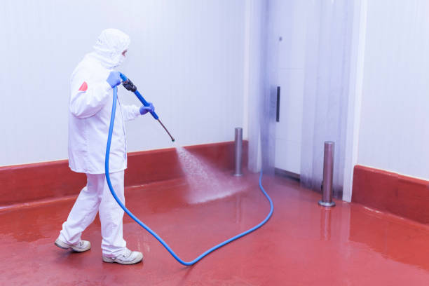 Best Solar Panel Cleaning  in Fulton, KY